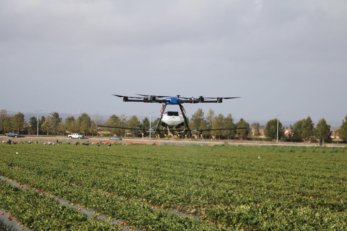 drone hovering over field